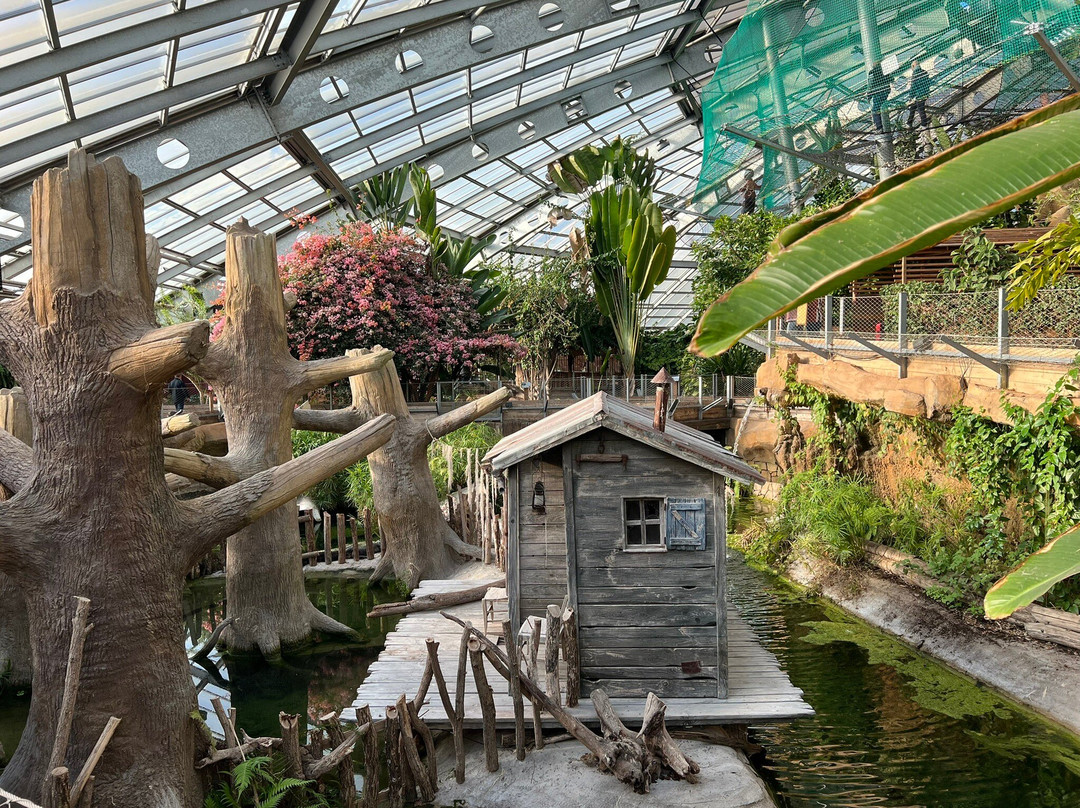 Terre de Dragons-Civaux必去景点