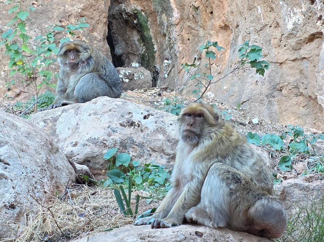 Ouzoud Falls-Ouzoud必去景点