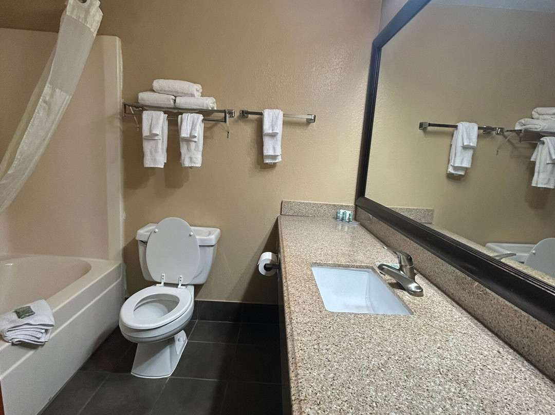 Best Western Locust Grove Inn & Suites主图