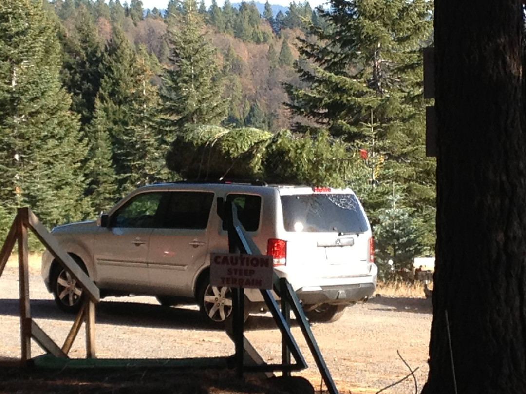 Snowy Peaks Tree Farm-Foresthill必去景点