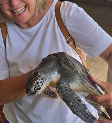 Ravi and Sons Tours-哈普特莱必去景点