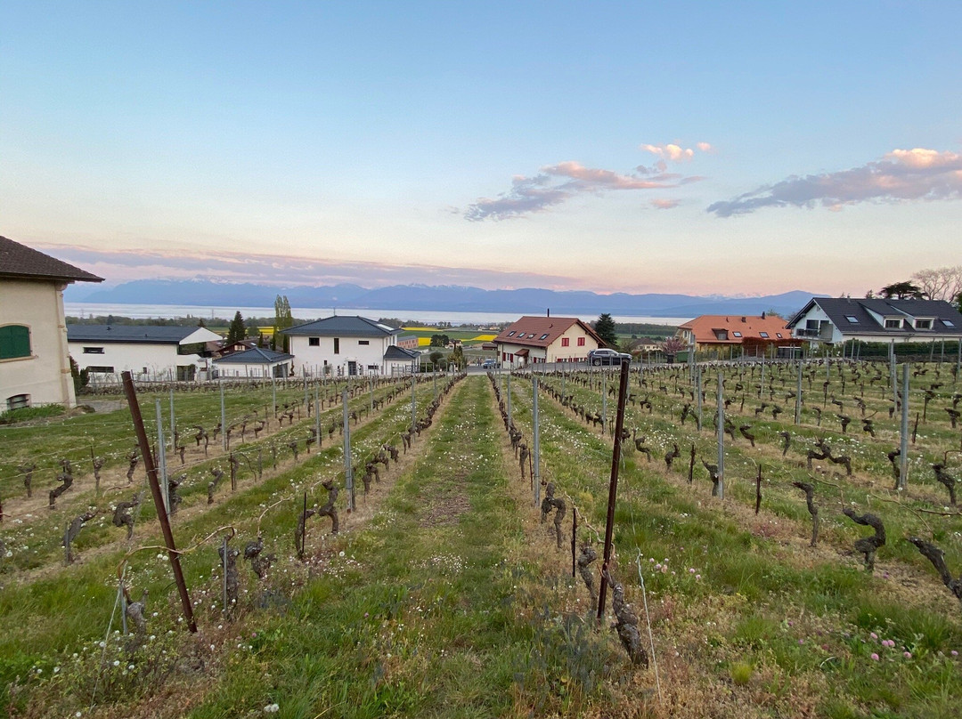 Saint-George酒店住宿-Auberge Communale a l'Union