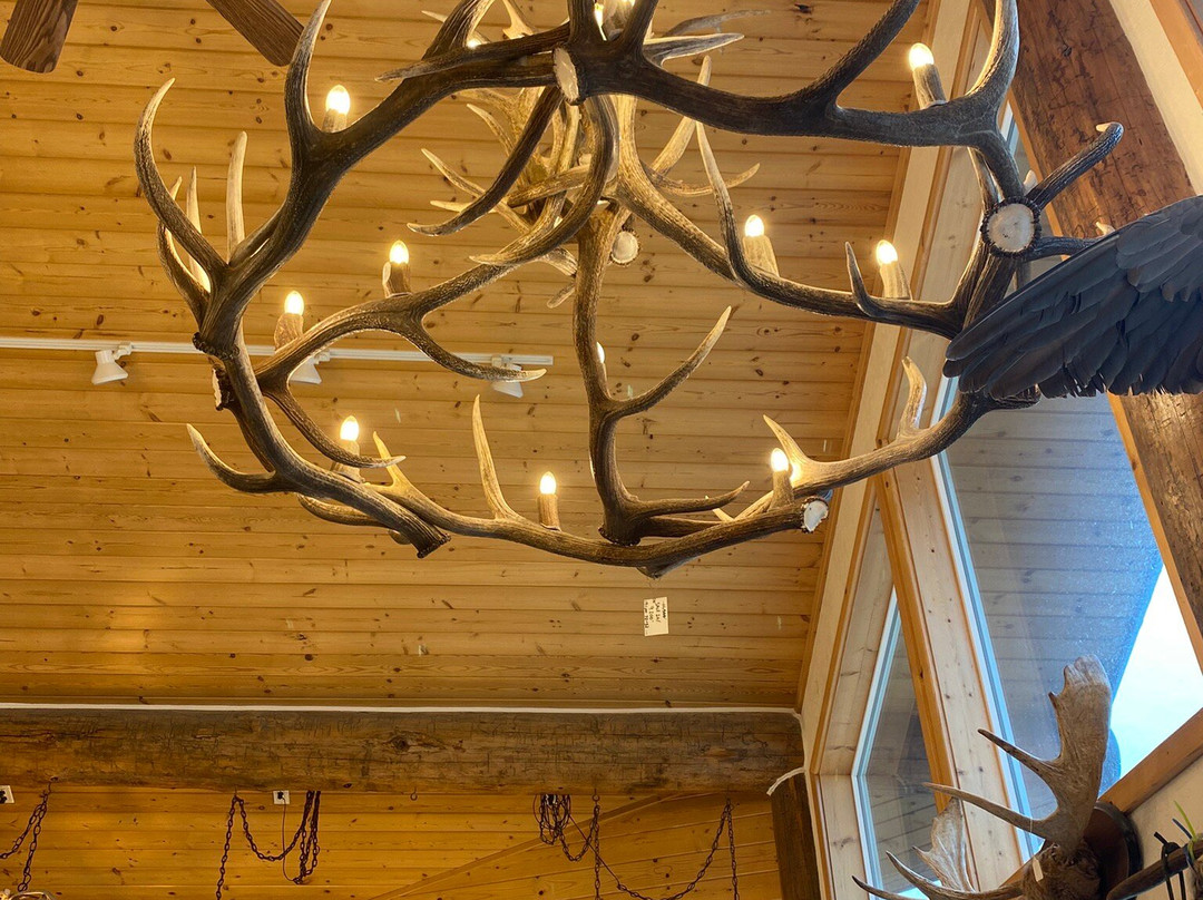 Unique Antler Design Wildlife Gallery-Riggins必去景点