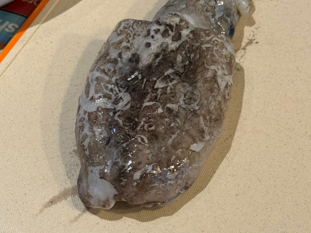 Les Petits Farcis-尼斯必去景点