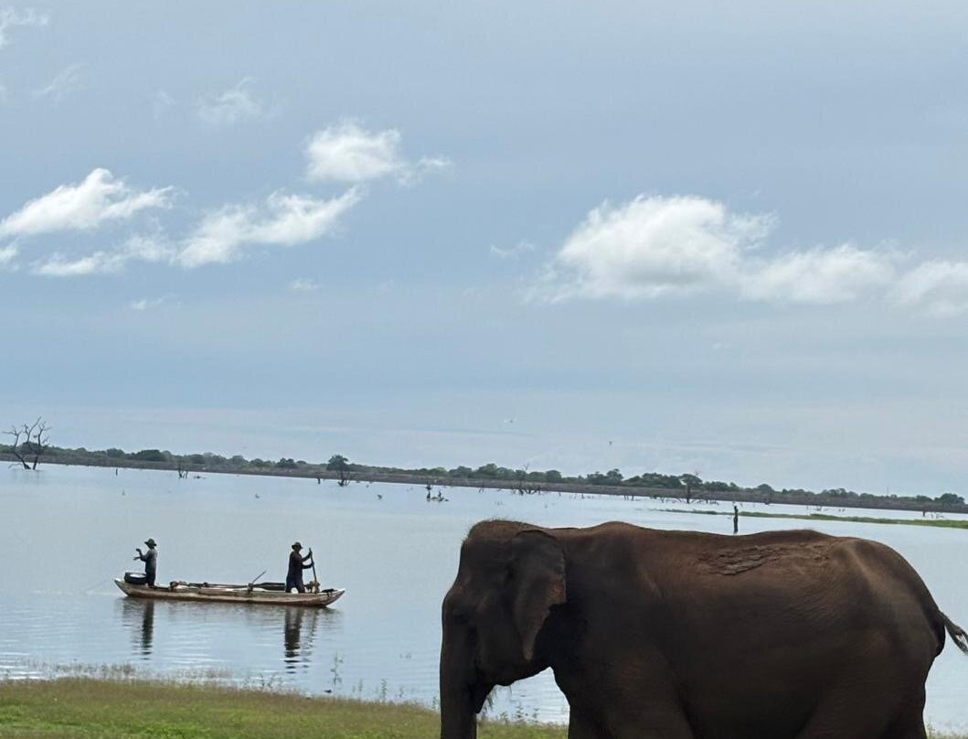 Prasanna Safari Udawalawe-乌达瓦拉维国家公园必去景点