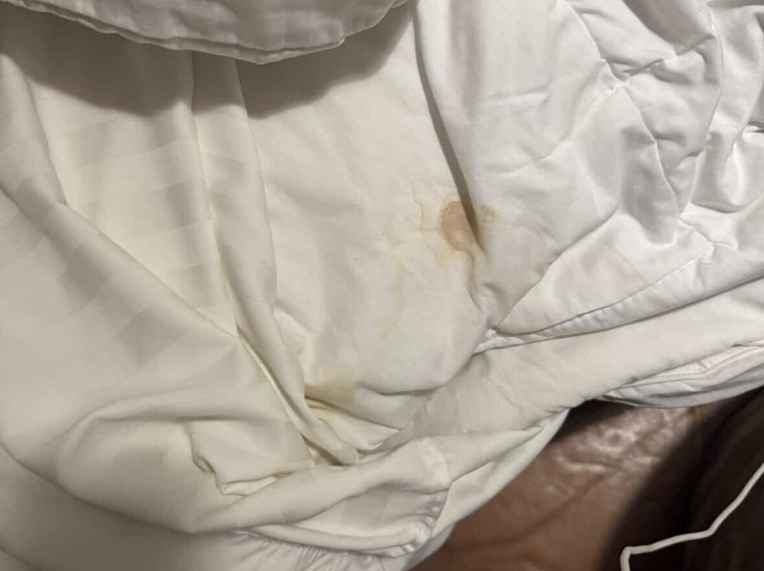 Sweet Harmony Hotel Boutique by Xarm Hotels主图