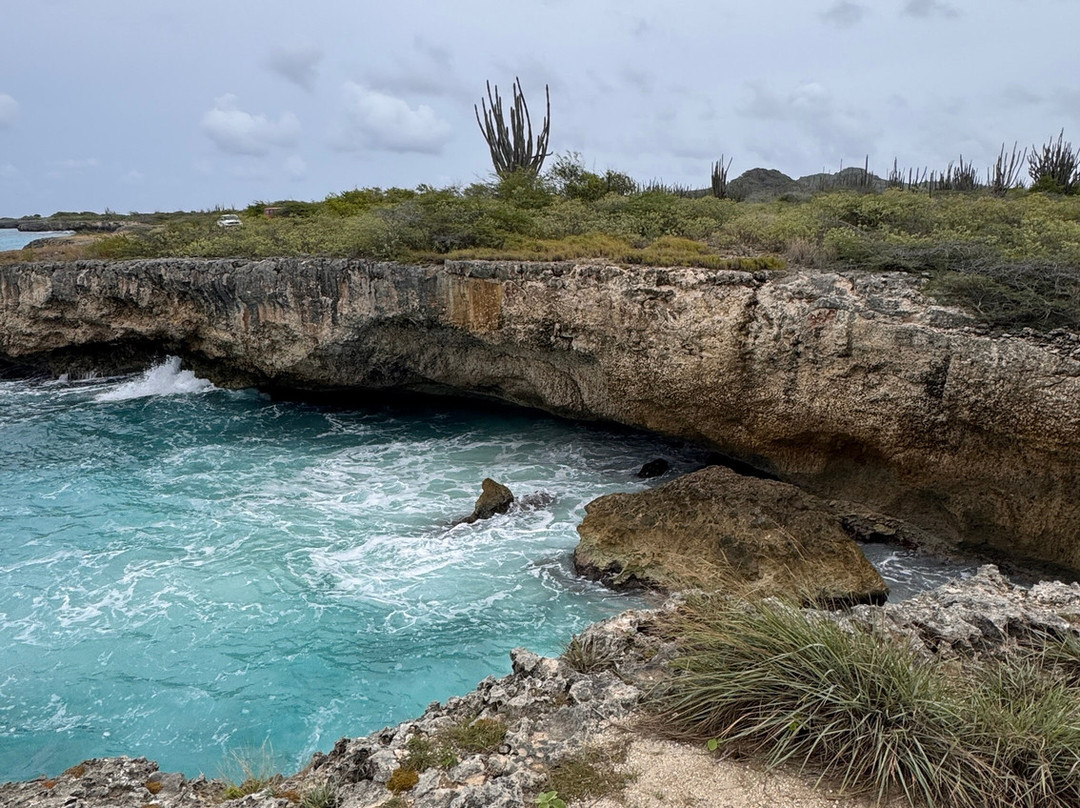 Washington-Slagbaai National Park Visitor Center Museum-Washington-Slagbaai National Park必去景点