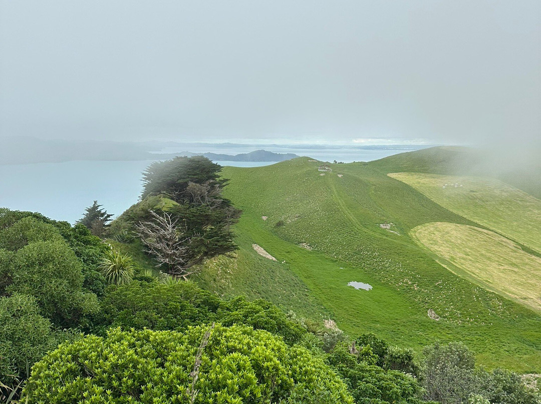 Manukau Heads Lighthouse-奥克兰中心地区必去景点