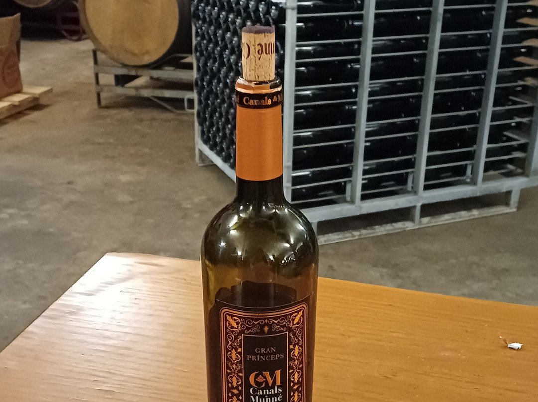 Canals & Munne-桑特萨杜尔尼达诺亚必去景点