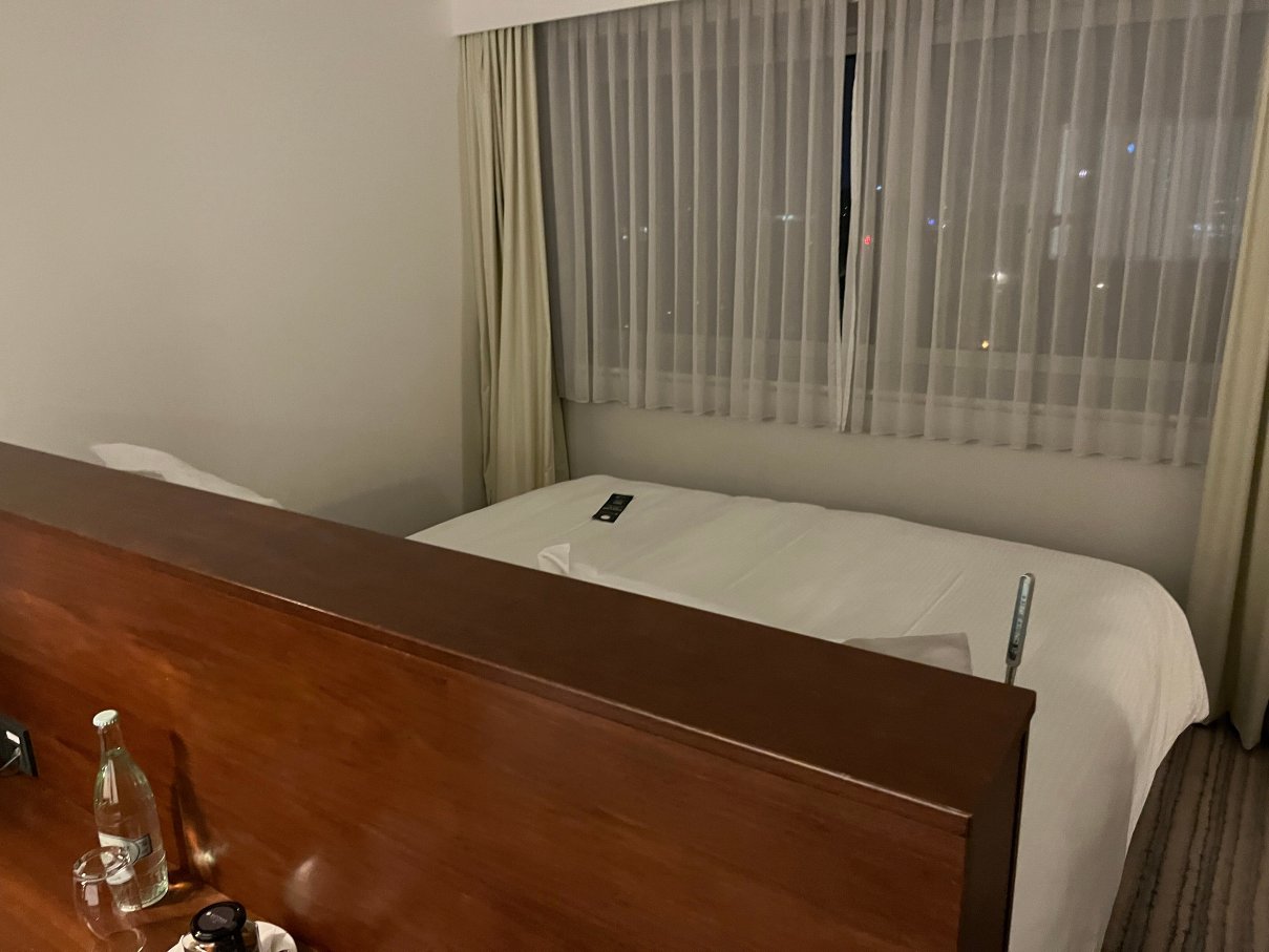 铂尔曼科隆酒店-客卧