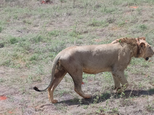 Asif Magical Safaris-瓦塔木必去景点