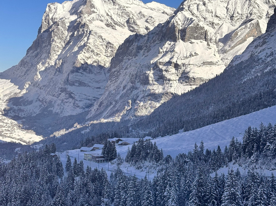 AlpTransfer & AlpExcursion-伯尔尼必去景点