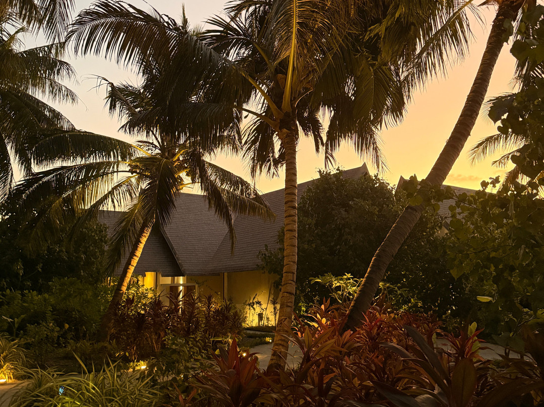 Madifushi Private Island主图