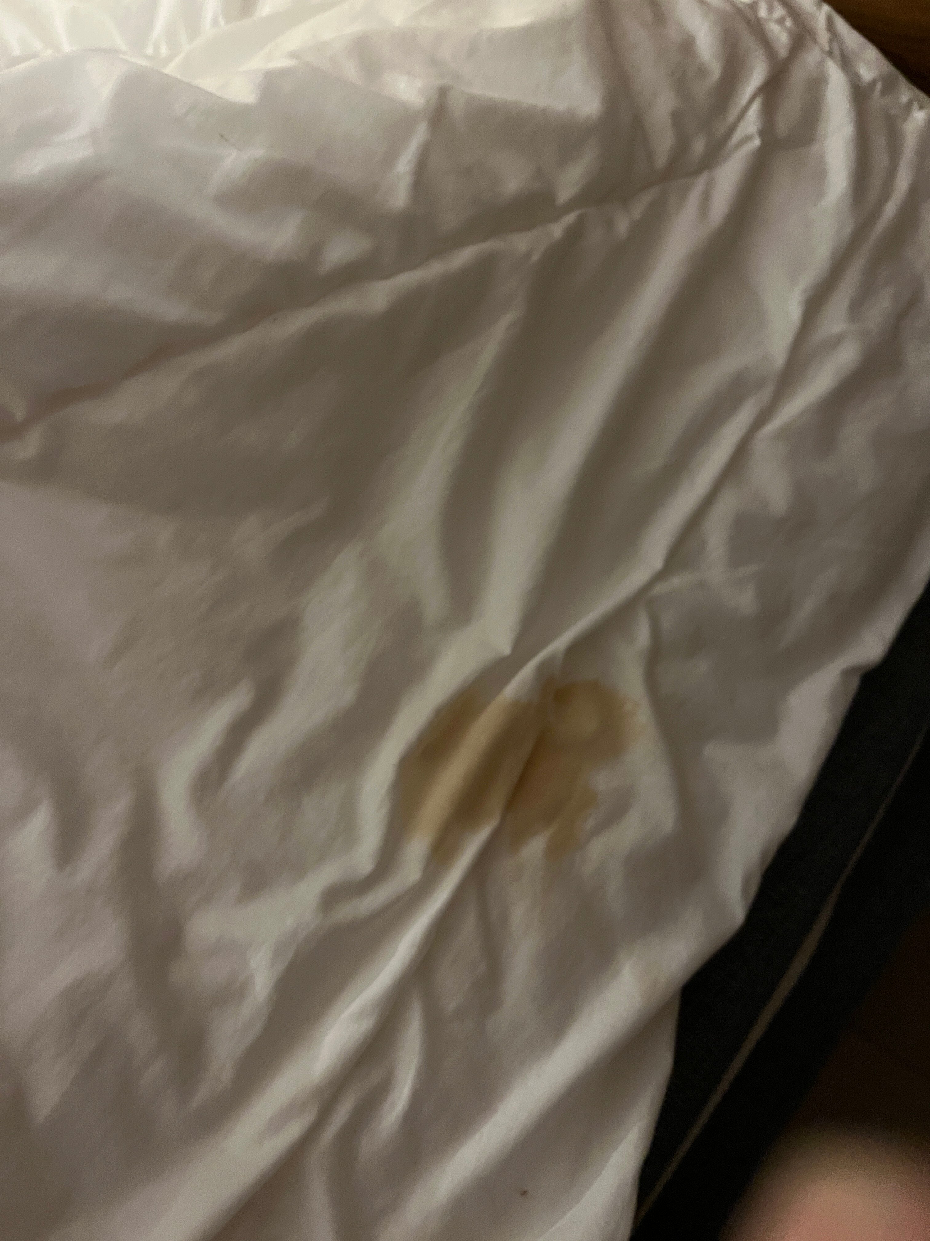 城市生活精品酒店-官方