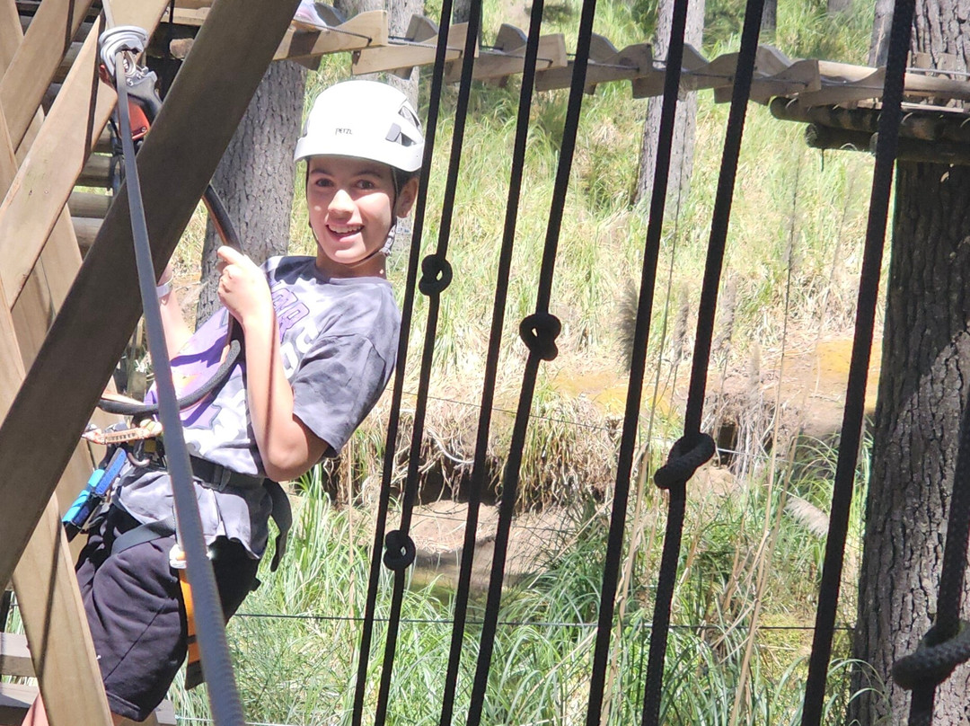 Tree Adventures-伍德山必去景点