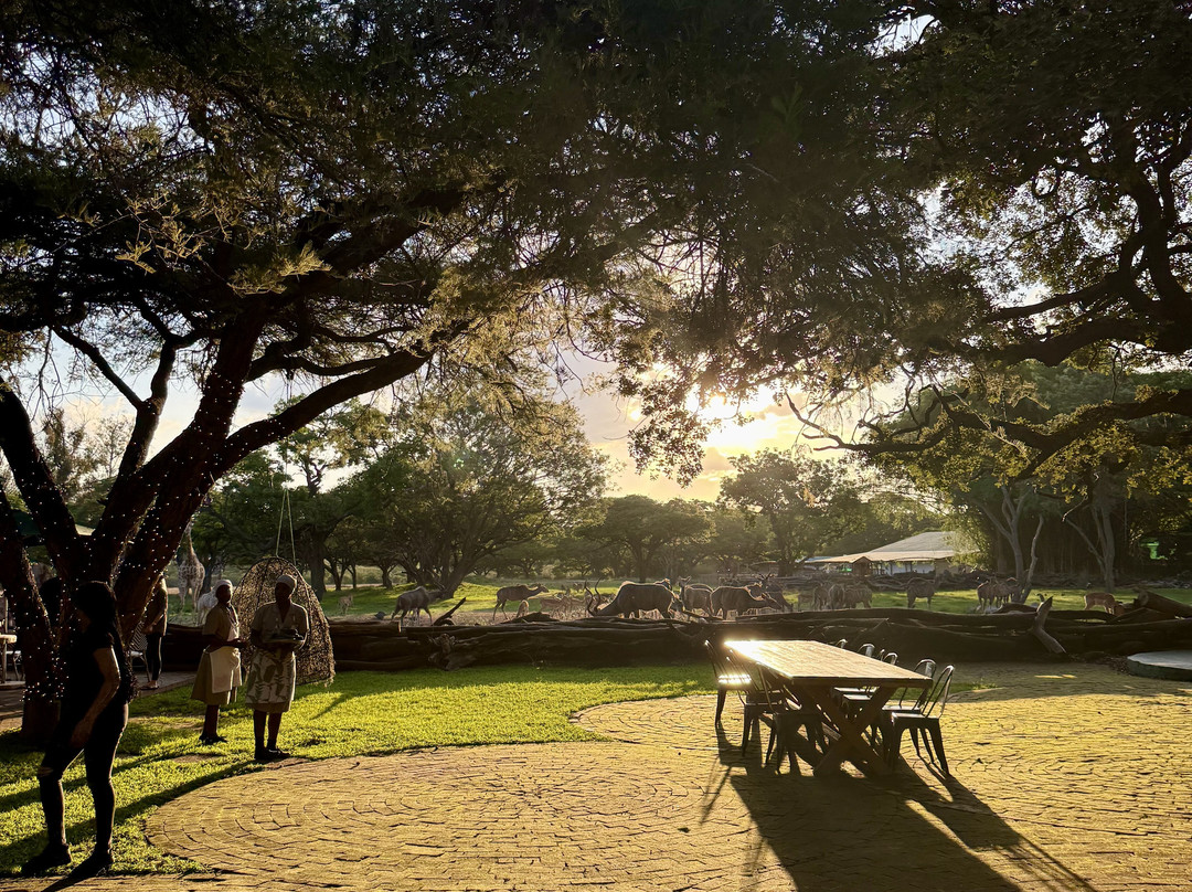 Wild Is Life-哈拉雷必去景点