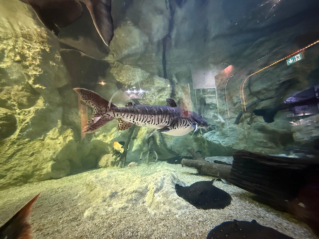 Aquarium du Limousin-利摩日必去景点