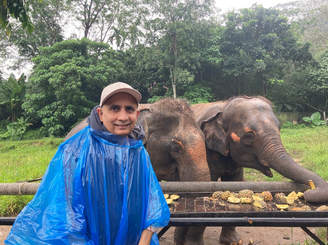 Phuket Elephant Nature Reserve-他朗必去景点