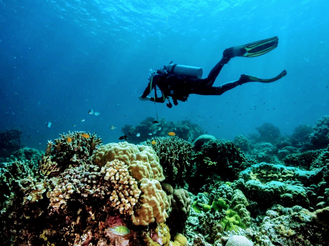 麦克道茵海滩度假村主图