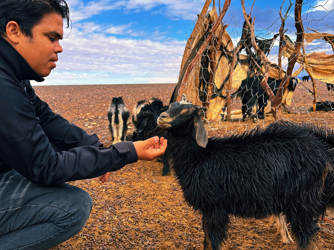 Morocco Colourful Tours-卡萨布兰卡必去景点