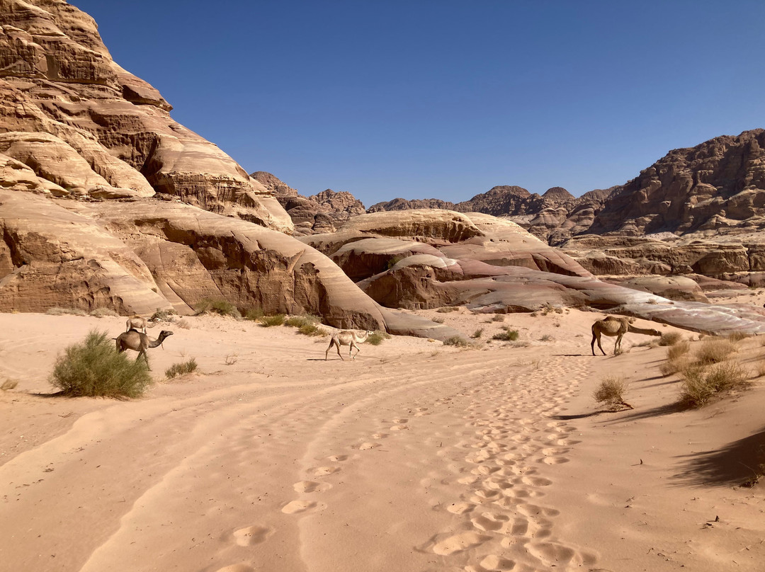 Wadi Rum Nomads-Wadi Rum Village必去景点