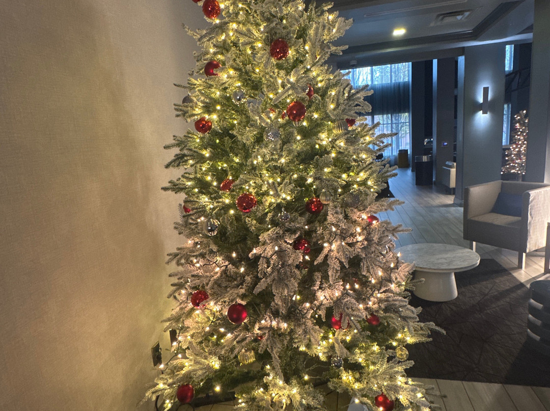 Staybridge Suites Columbus OSU-Medical Center by IHG主图