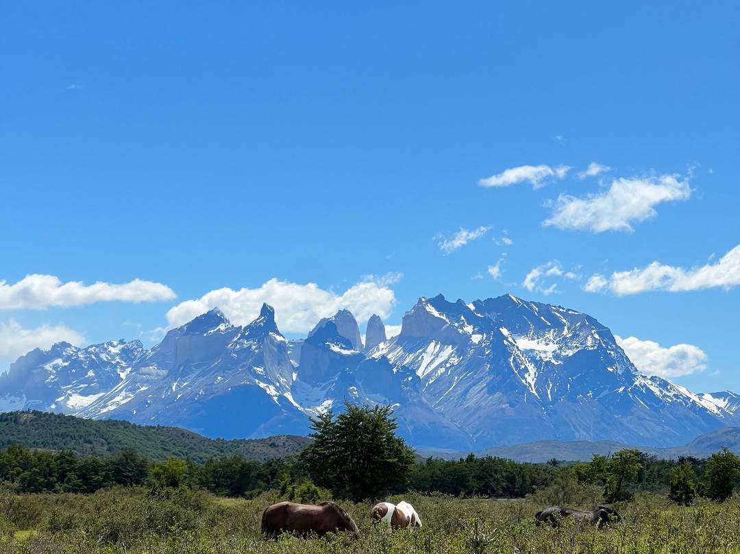 Cimarron Travel-Torres del Paine必去景点