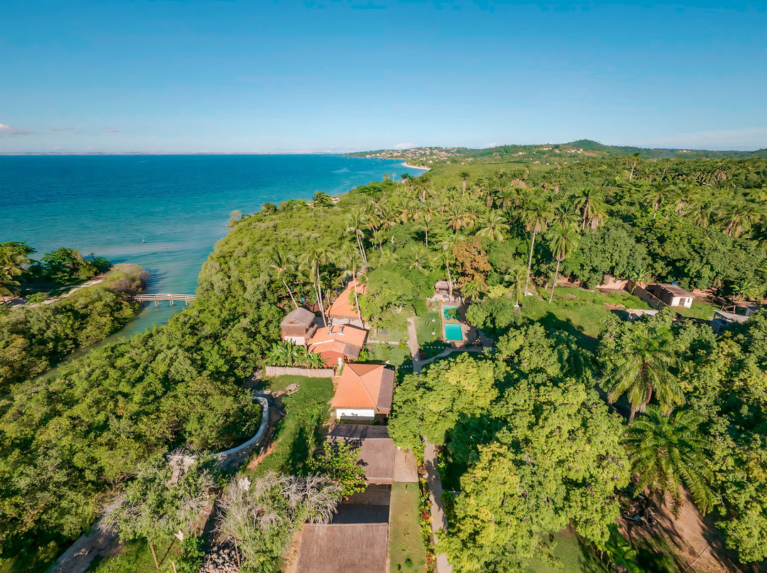 Restaurante Flor do Mangue