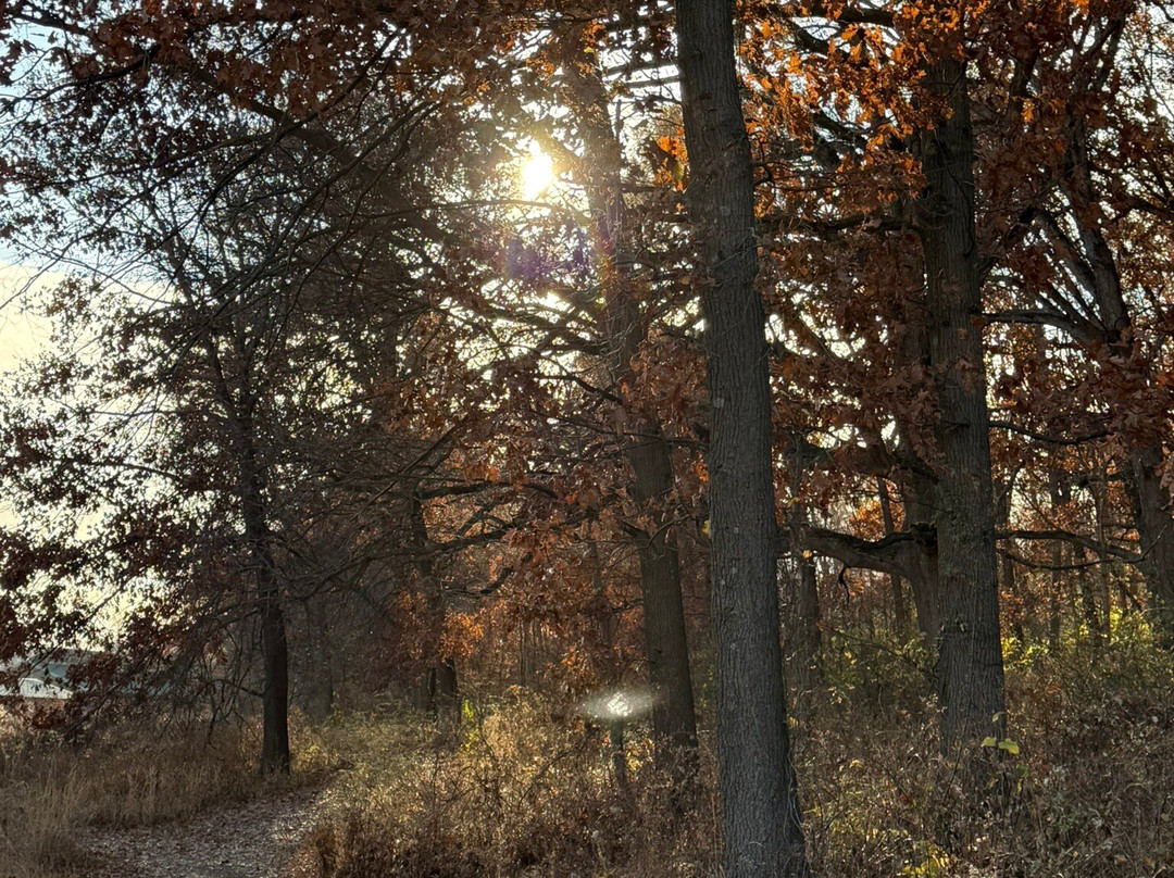 Indian Creek Nature Center-锡达拉皮兹必去景点
