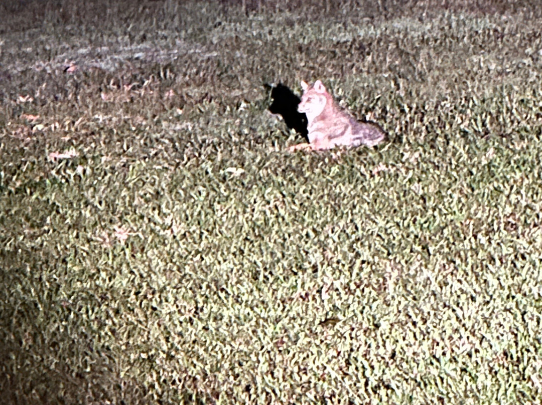 Khoa Yai and Beyond-考艾国家公园必去景点