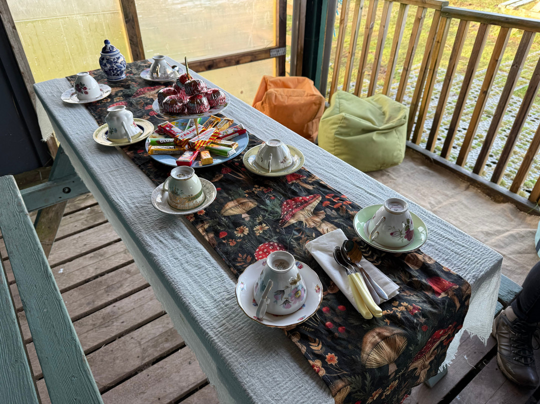 Harmony Fields-Buchlyvie必去景点