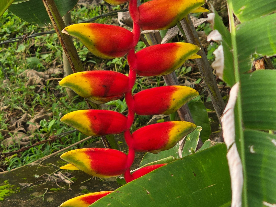 Authentic Tour Delivery-null必去景点