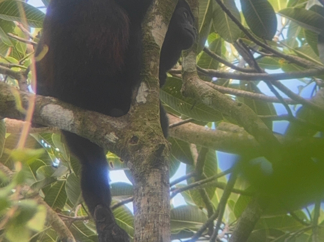Sukia Travel-德雷克湾必去景点