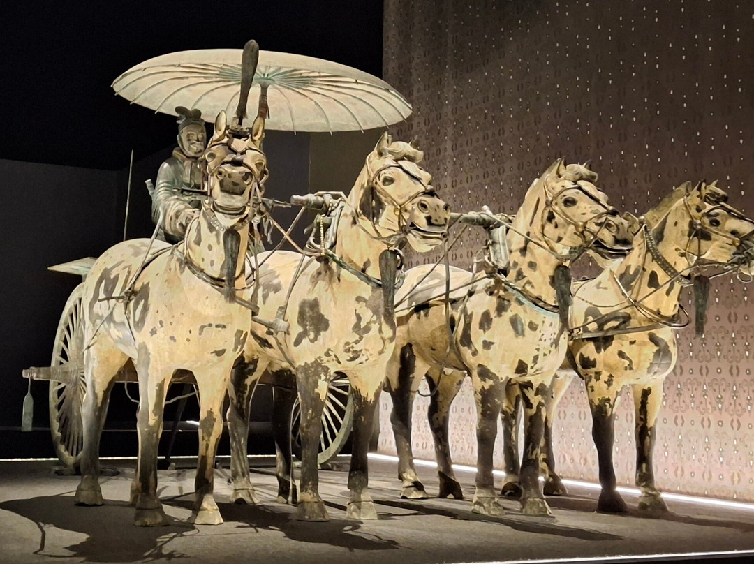 西澳博物馆-珀斯必去景点