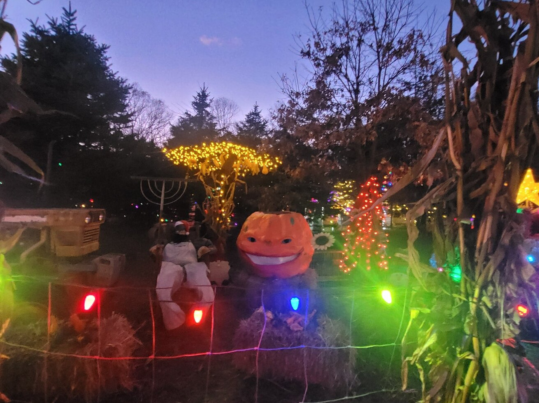 Indian Acres Tree Farm-Medford必去景点