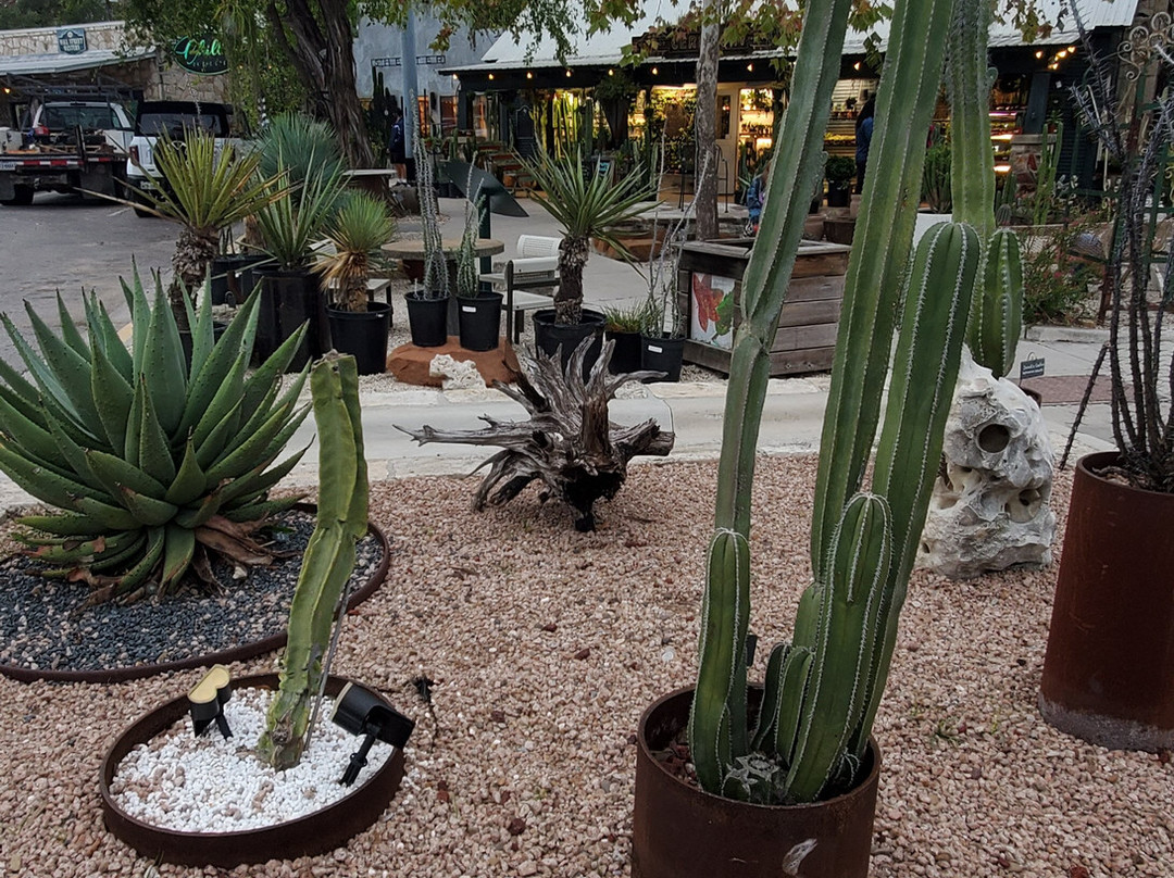 Bella Vida Bed and Breakfast主图