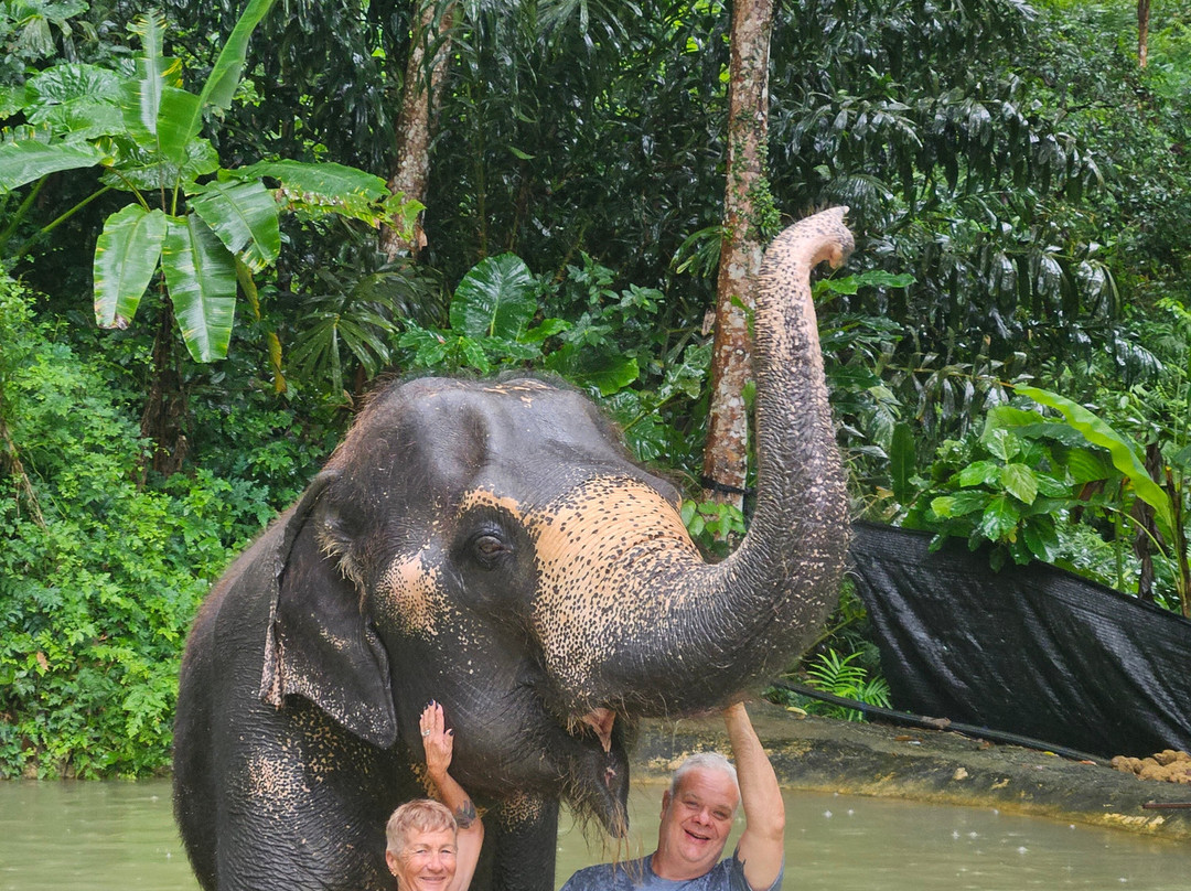 Sub Phuket Taxi And Tour-普吉镇必去景点