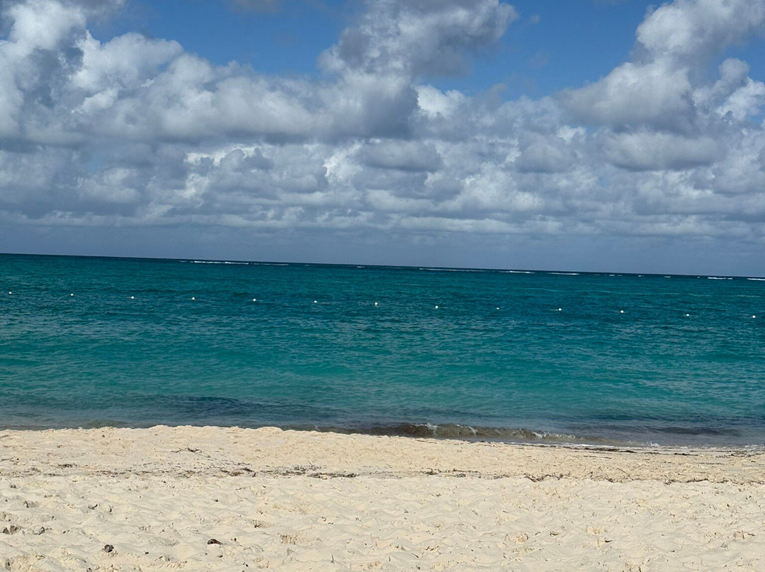 PAIG Luxury Transportation-普罗维登西亚莱斯必去景点