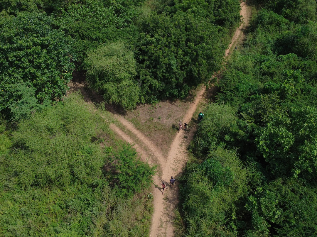 Gambian Bird Guide Ansuman Drammeh -  Best Boy Tours-塞瑞库达必去景点