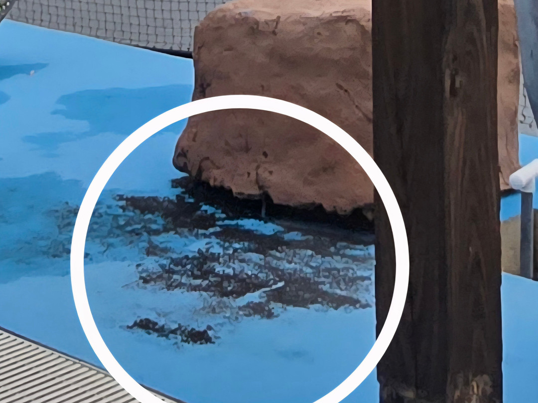 Ramada By Wyndham Hotel And Water Park主图