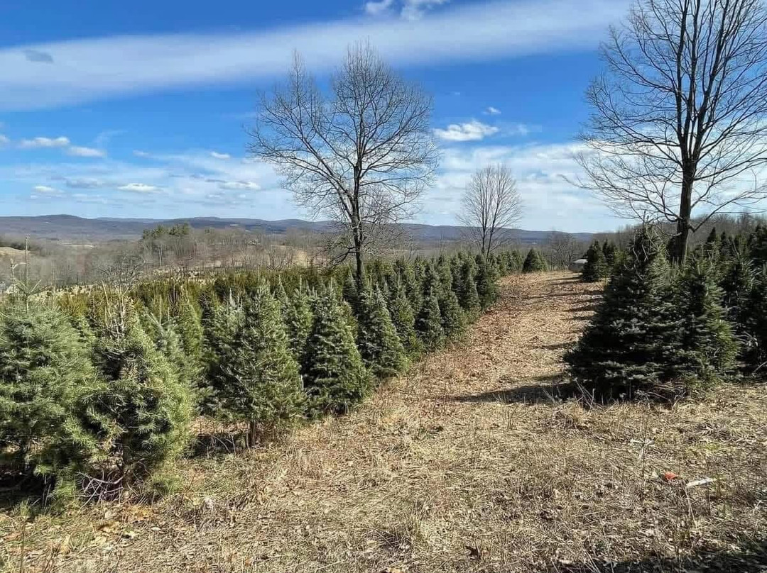 Shale Hills Farm-Sussex必去景点