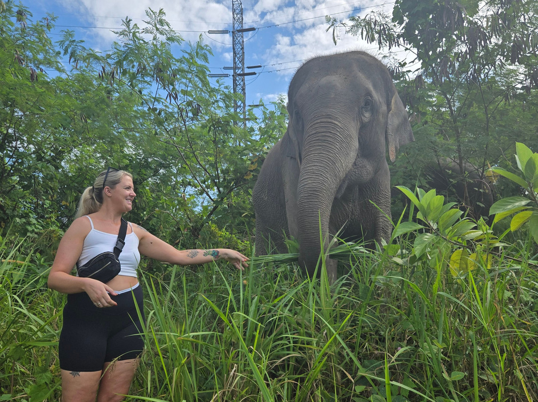 The Lake Phuket Elephant Home-Thep Krasatti必去景点