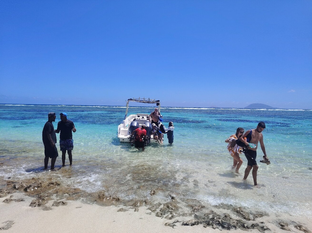 Blue Vibes-开普马欧呵必去景点