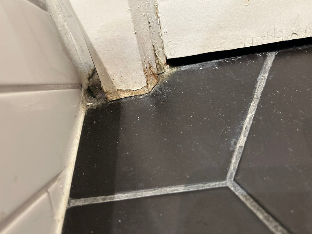 The Winchester Hotel & Spa主图