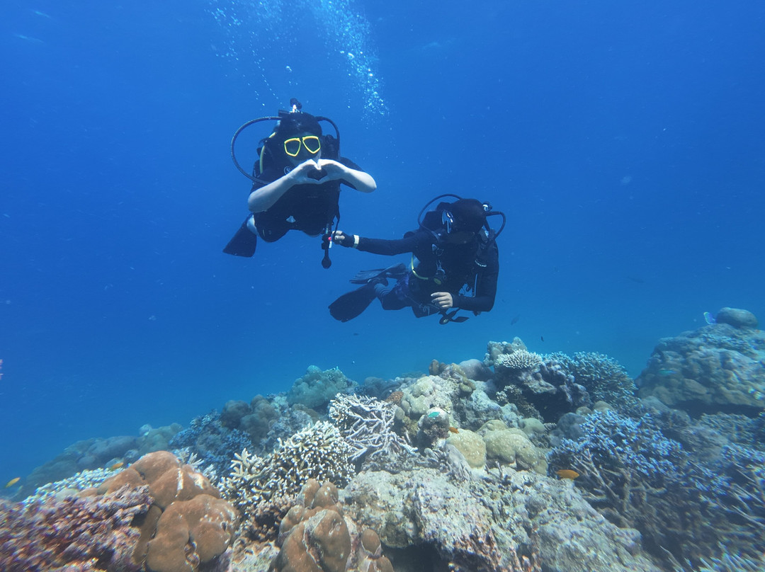 Turquoise Dream | PADI Dive Centre-Neil Island必去景点