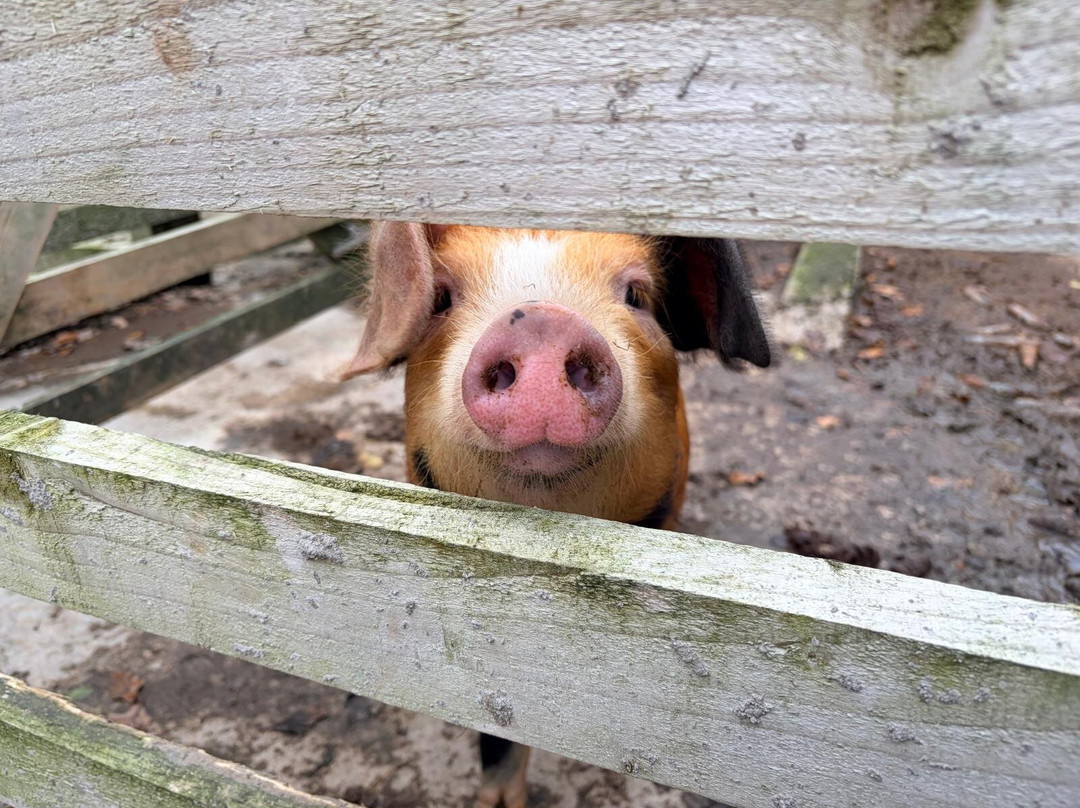 Cragg House Farm-Buttermere必去景点