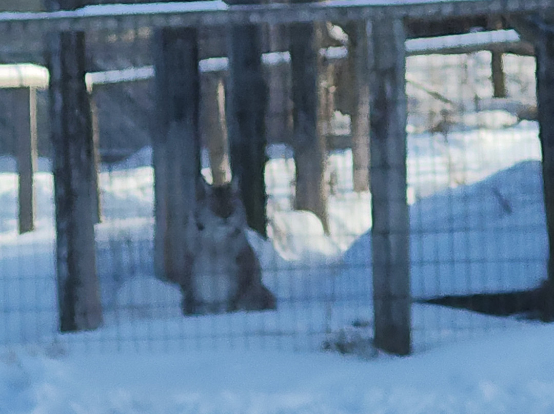 CineZoo-Sainte-Anne-de-la-Rochelle必去景点