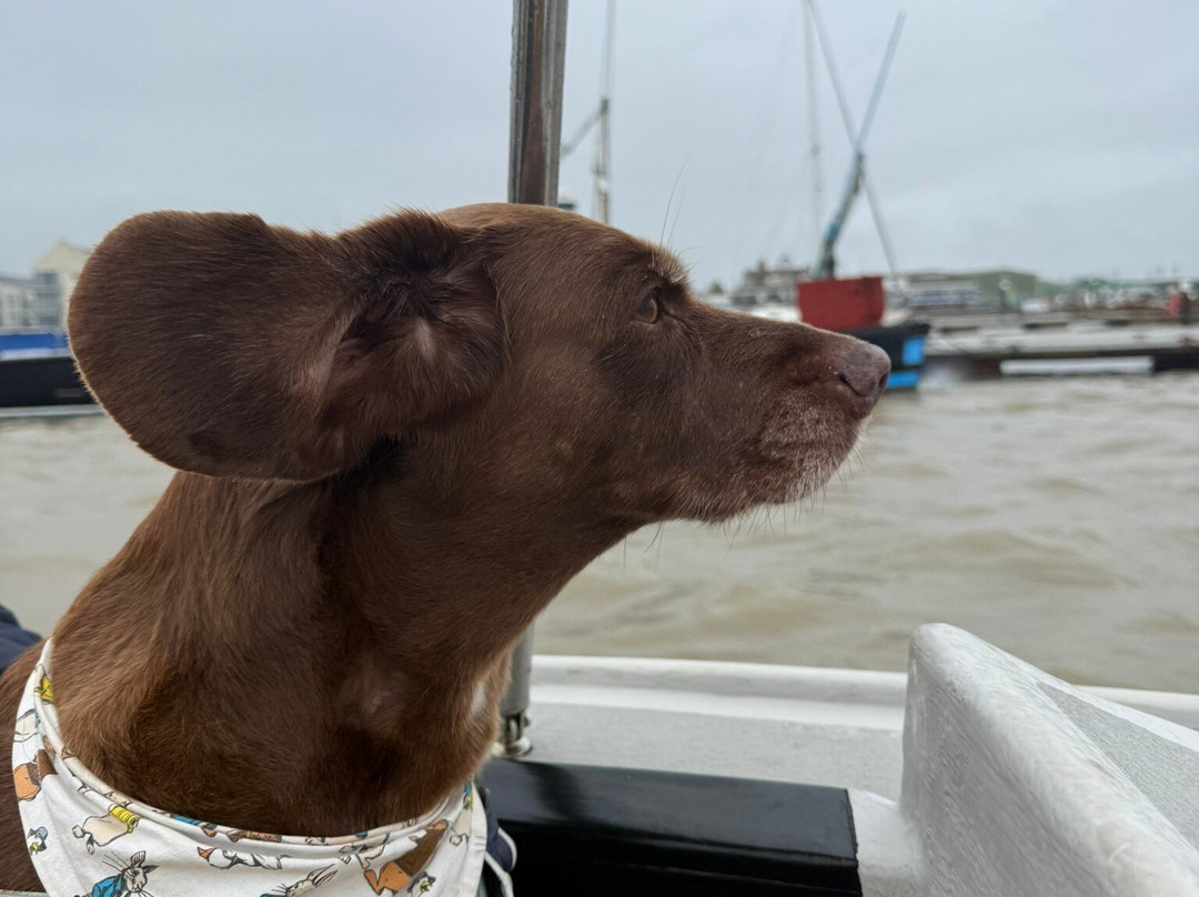 Lady Grace Essex Boat Trips-Brightlingsea必去景点