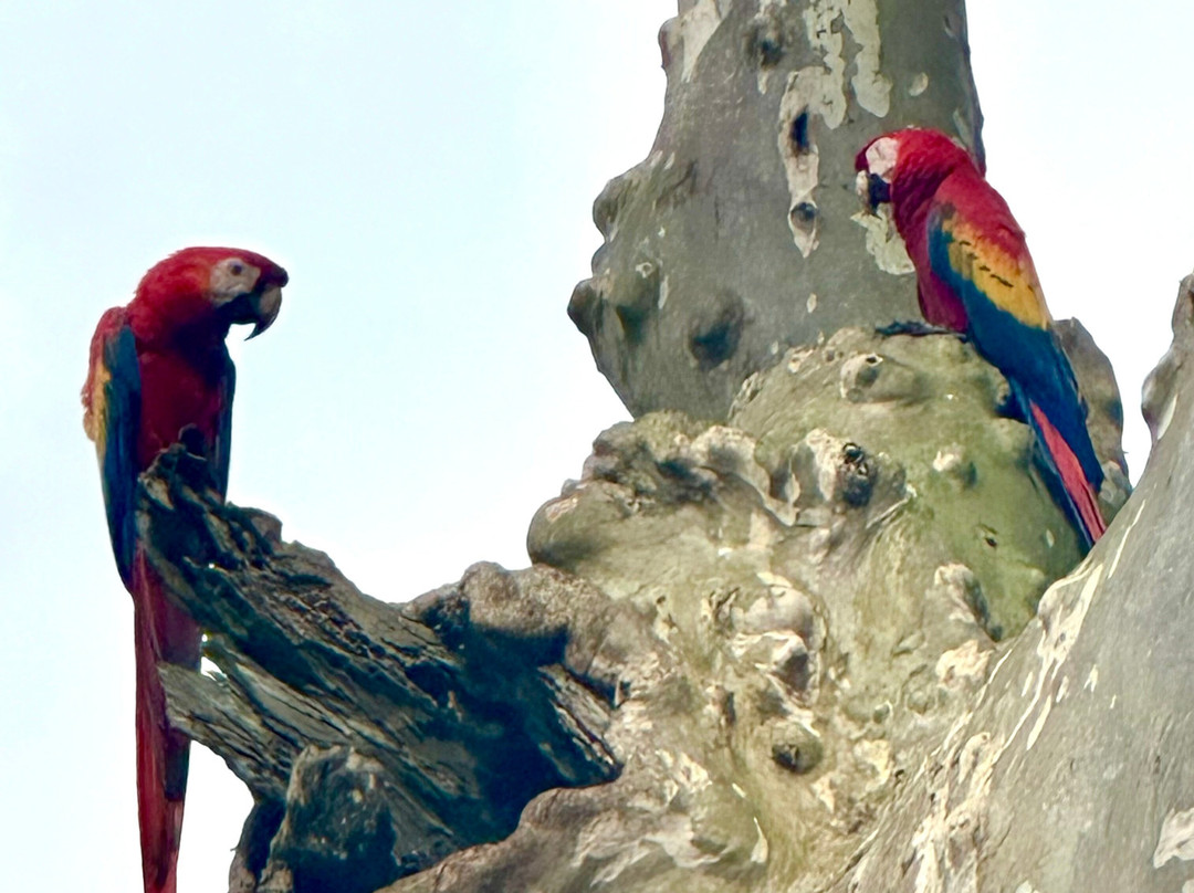 Piko Travel-艾拉杜拉必去景点