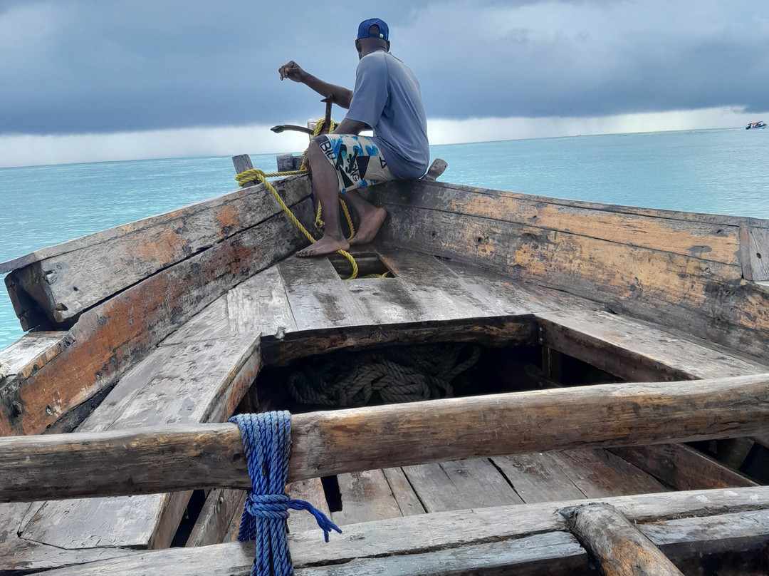 Dive Point Zanzibar-Matemwe必去景点